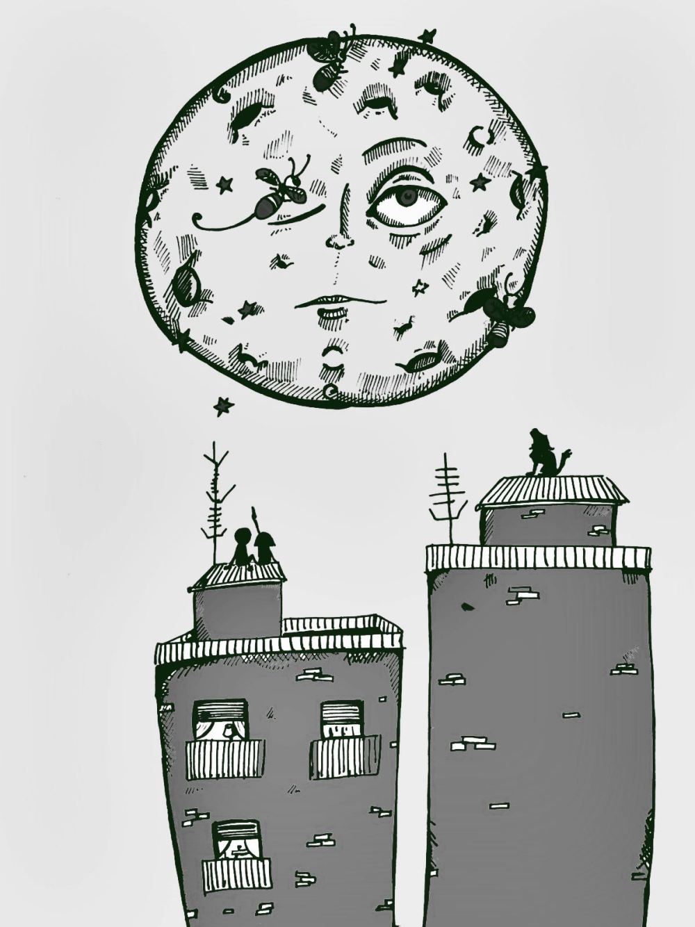 WhatsApp Image 2017-12-28 at 16.18.50