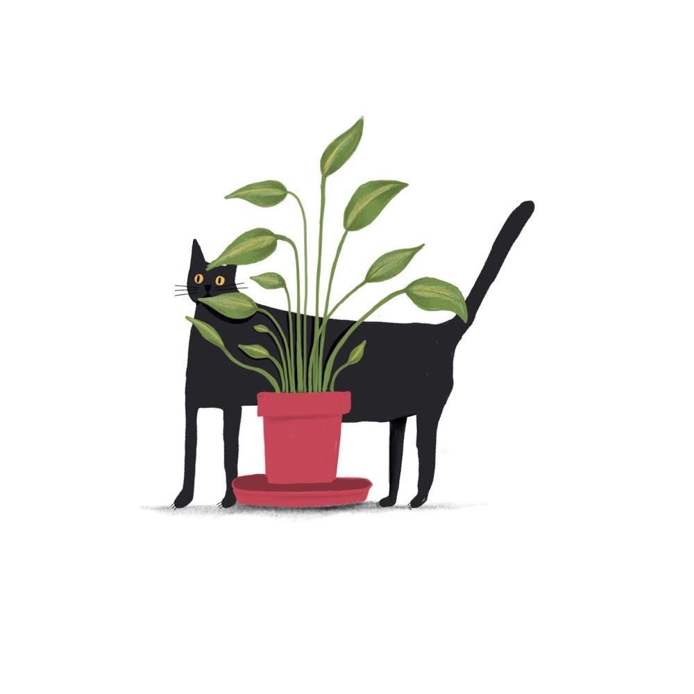 5921d64d-b485-4920-9e94-67cf4202dd0f